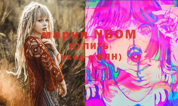 молекула духа Арсеньев