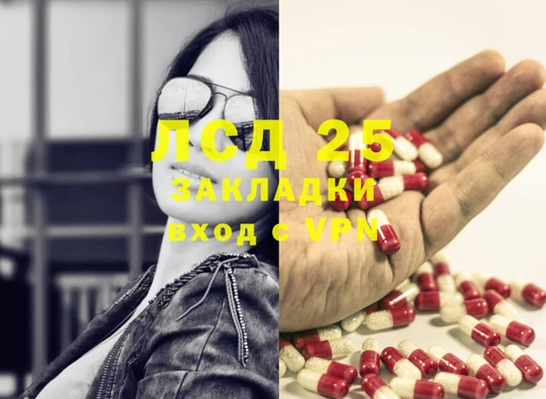 ПСИЛОЦИБИНОВЫЕ ГРИБЫ Армянск