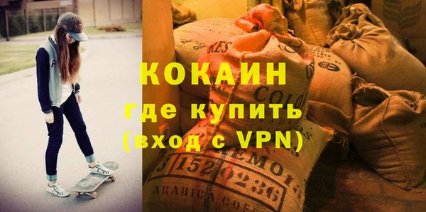 молекула духа Арсеньев