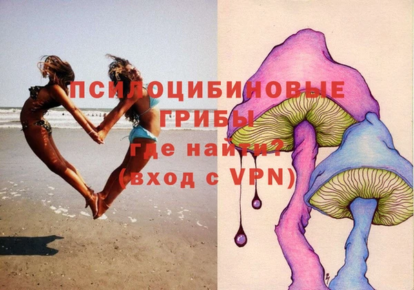 сатива Балахна