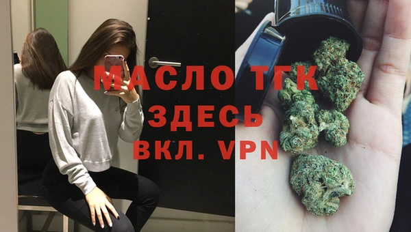 молекула духа Арсеньев