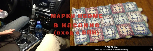сатива Балахна