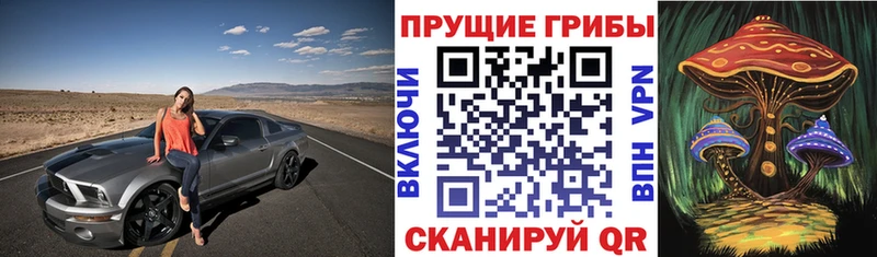 Псилоцибиновые грибы ЛСД ОМГ ОМГ как войти Мелеуз darknet состав наркошоп
